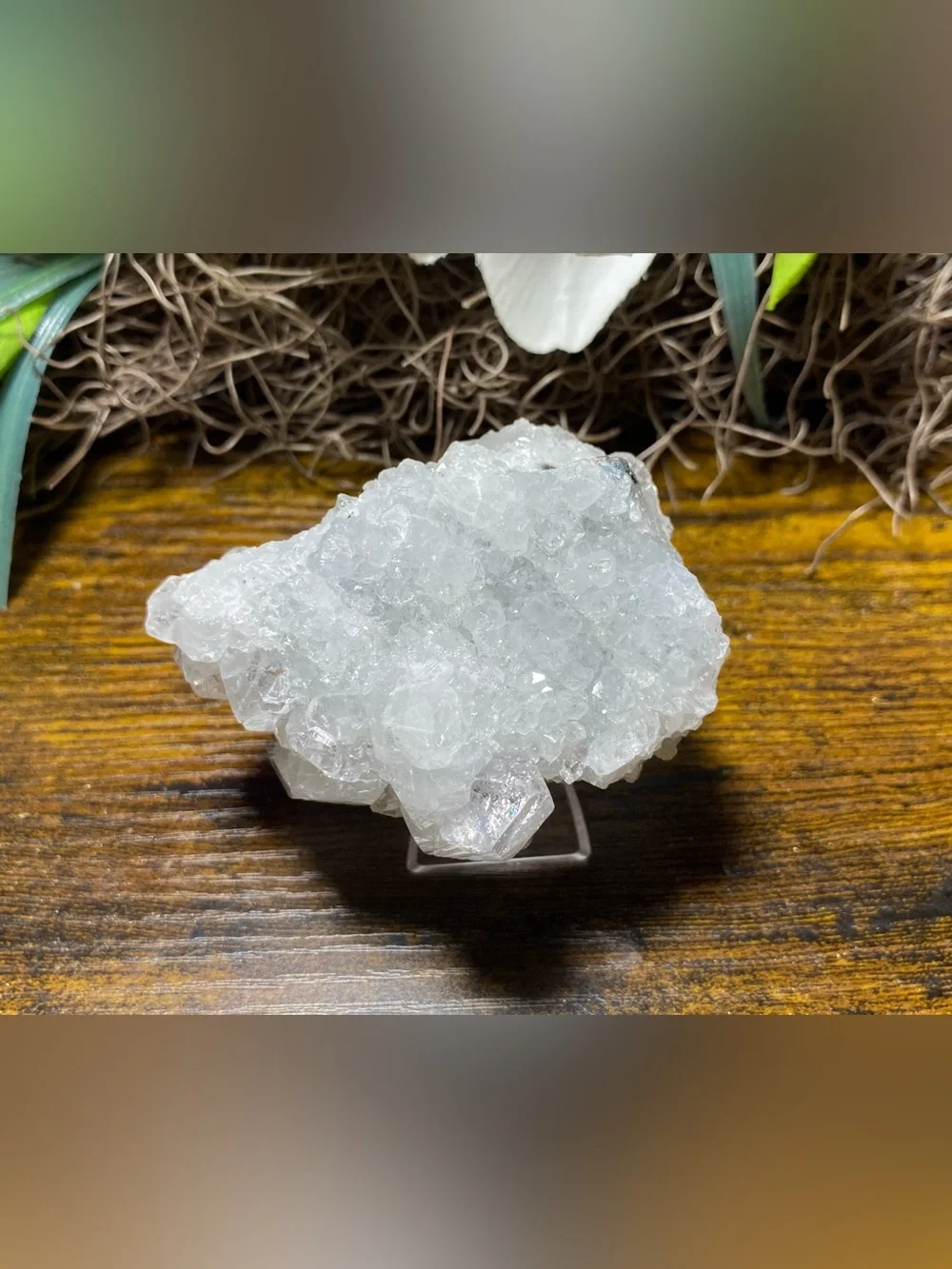 Apophyllite Stalactite Cluster